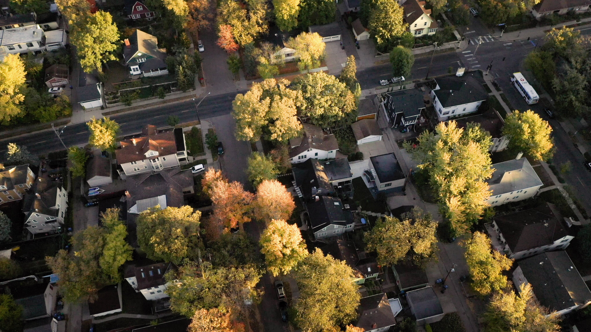 neighborhood houses during autumn season